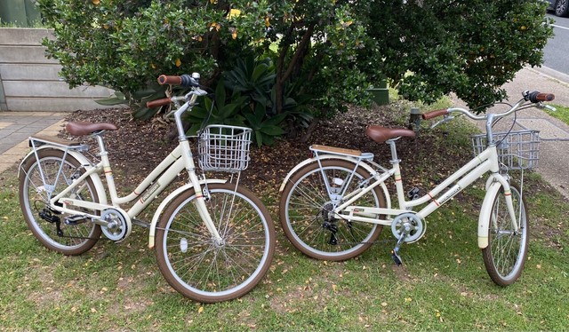 polygon sierra ax 24 inch city bike